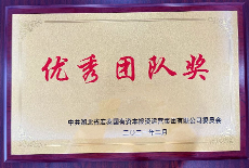 優(yōu)秀團隊獎